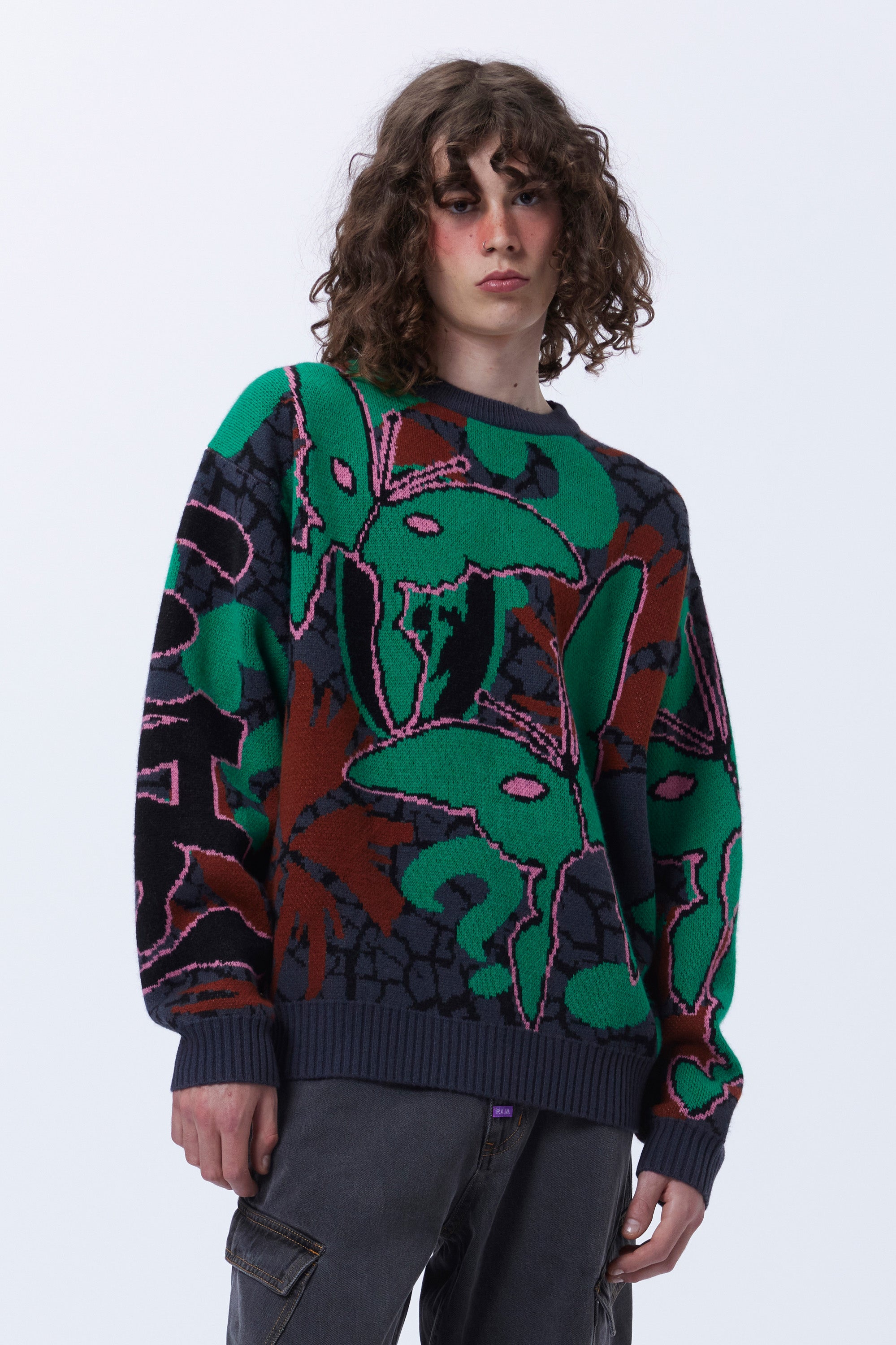 COPPICE GRAPHIC CREW NECK KNIT