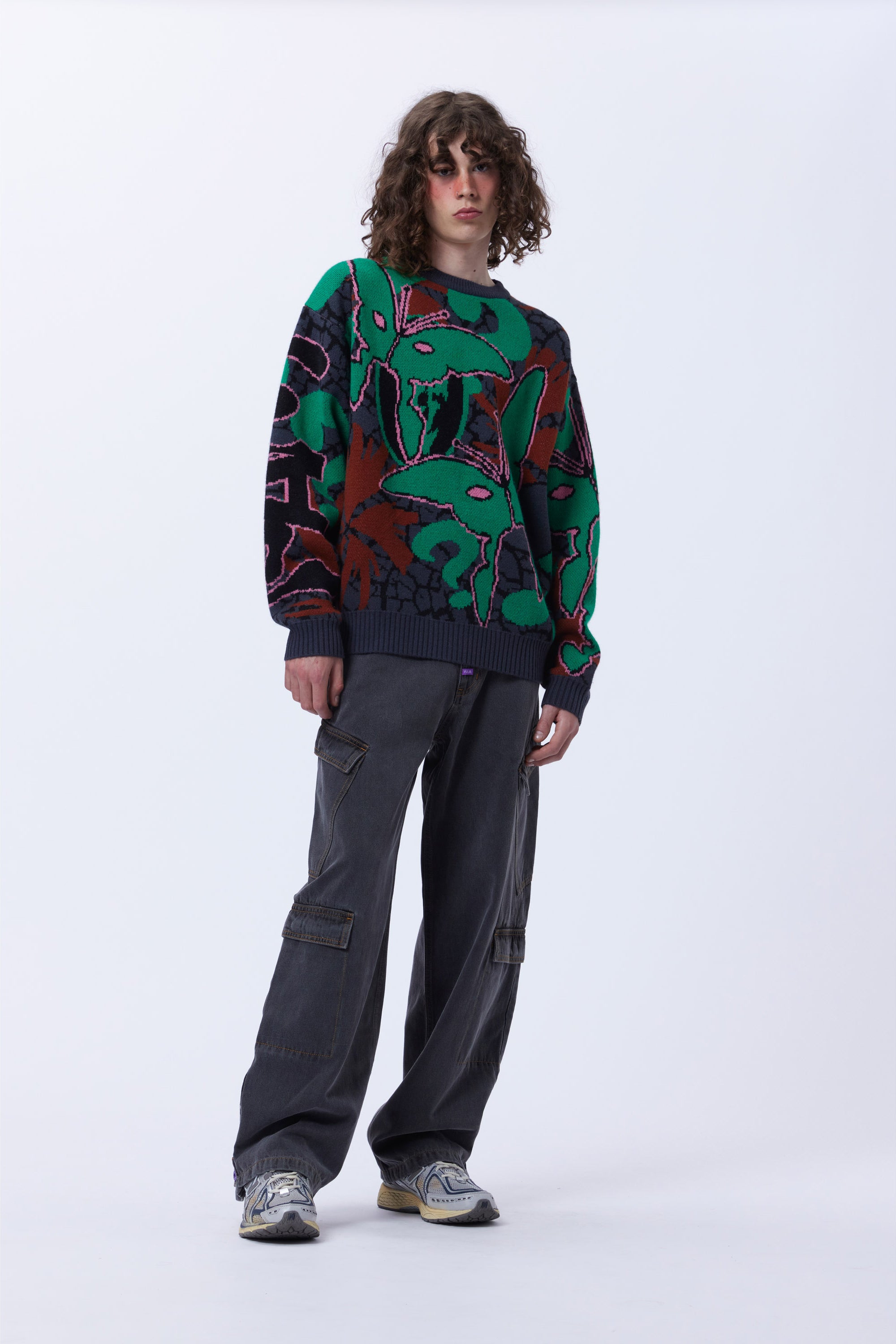 COPPICE GRAPHIC CREW NECK KNIT