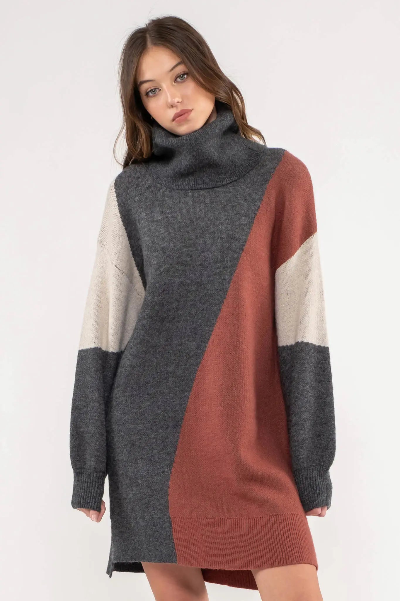 Eileen Turtleneck Sweater Dress