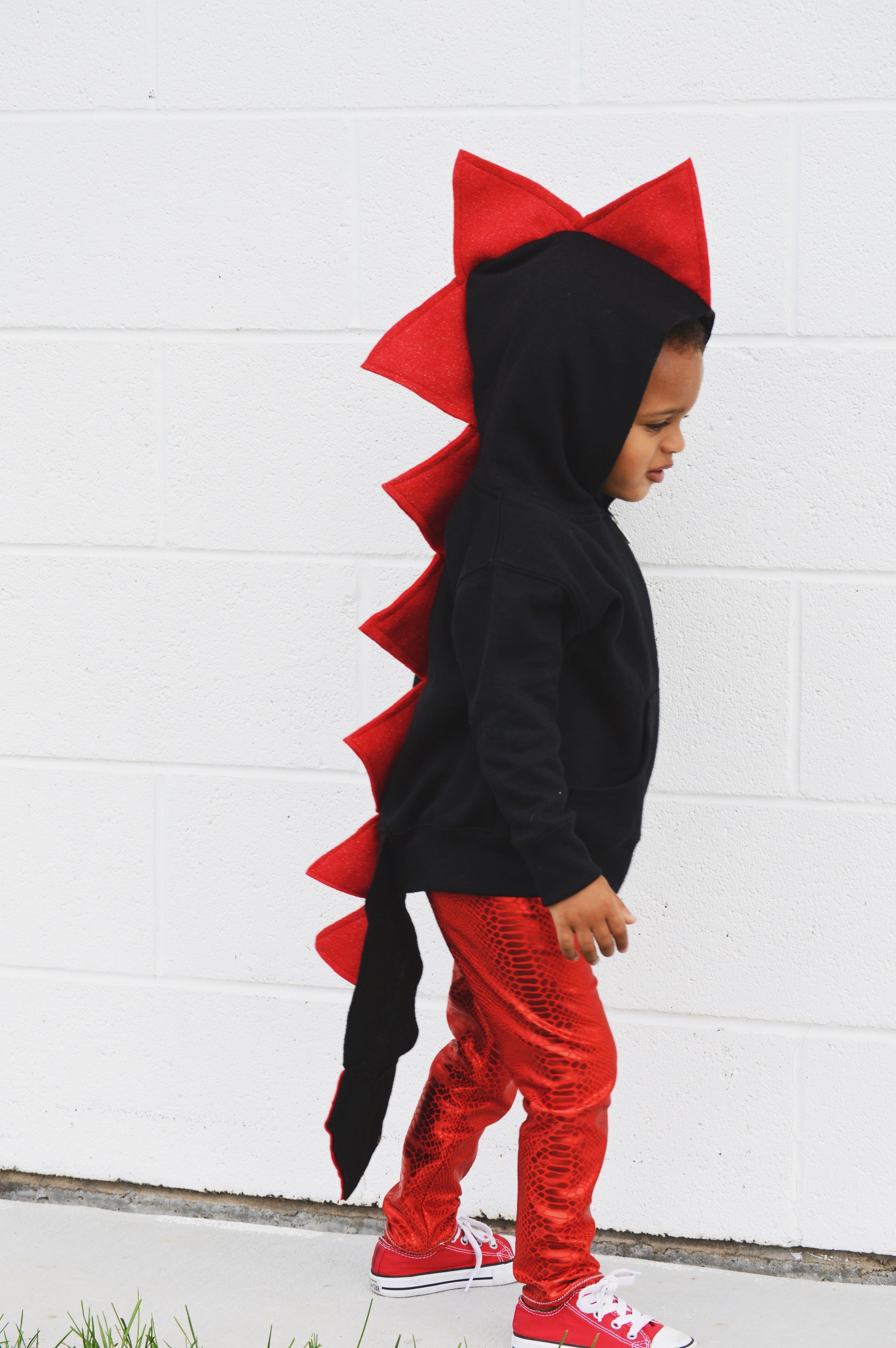 Red Shimmer Dragon Hoodie