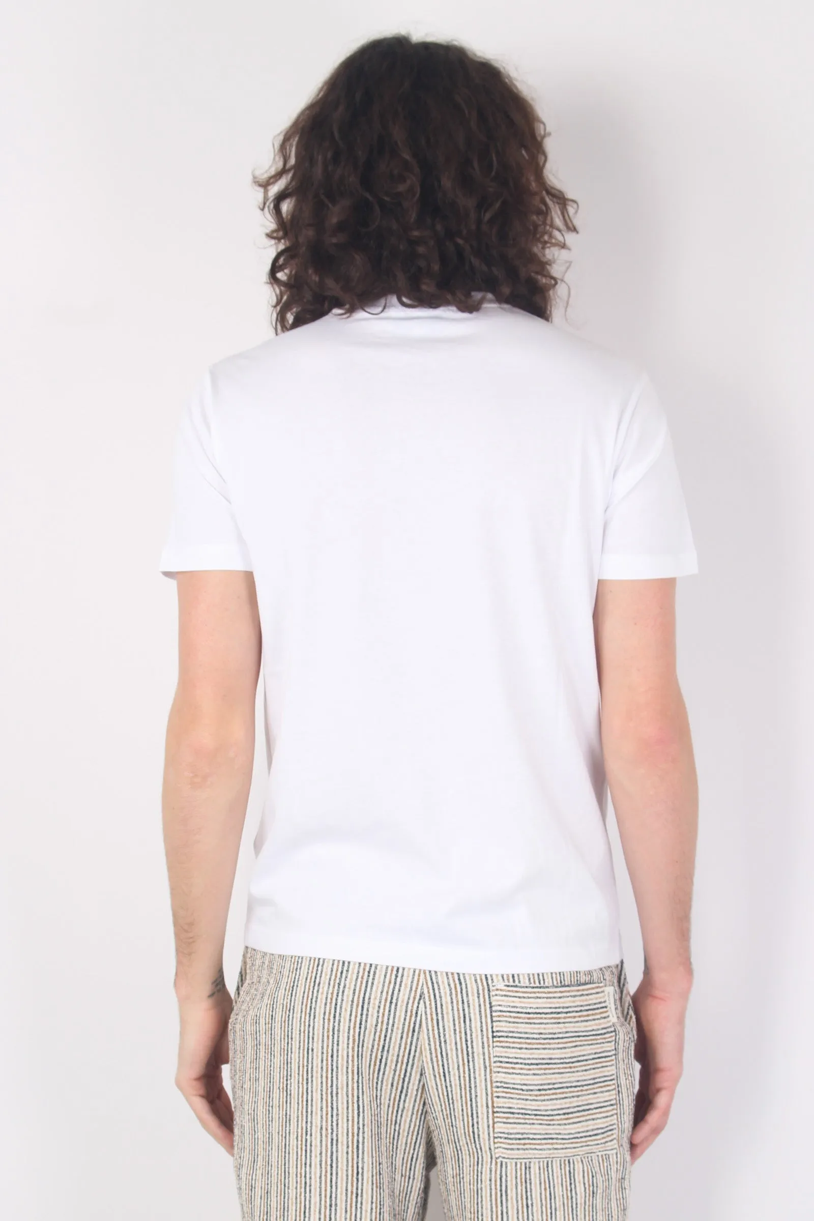 T-shirt Girocollo Cotone Bianco